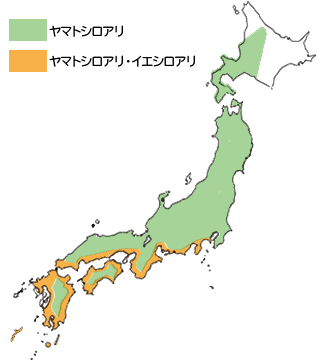 ヤマトシロアリ・イエシロアリの分布